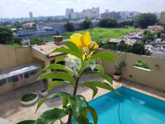Imagem Sobrado com 4 Quartos à Venda, 506 m² em Jardim Peri Peri - São Paulo Imagem Sobrado com 4 Quartos à Venda, 506 m² em Jardim Peri Peri - São Paulo