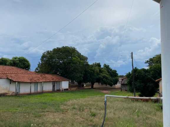 Imagem Fazenda à Venda, 532 m² em Rural - Jales Imagem Fazenda à Venda, 532 m² em Rural - Jales