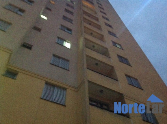 Imagem Apartamento com 2 Quartos à Venda, 50 m² em Vila Roque - São Paulo