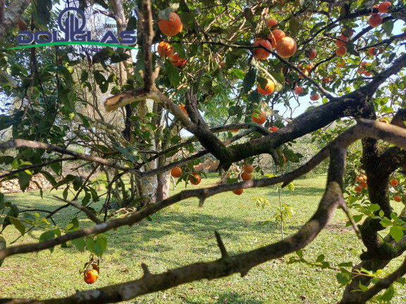 Imagem Terreno à Venda, 595 m² em águas Claras - Viamão