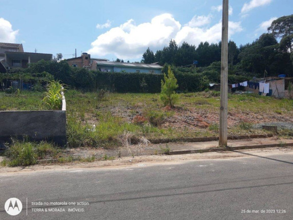 Imagem Terreno em Condomínio à Venda, 220 m² em São Dimas - Colombo Imagem Terreno em Condomínio à Venda, 220 m² em São Dimas - Colombo