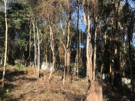 Imagem Terreno em Condomínio à Venda, 500 m² em Paisagem Renoir - Cotia Imagem Terreno em Condomínio à Venda, 500 m² em Paisagem Renoir - Cotia