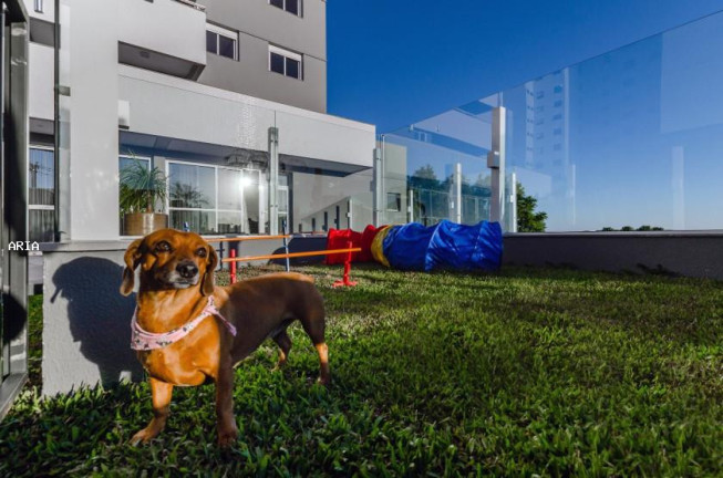 Imagem Apartamento com 3 Quartos à Venda, 91 m² em Panazzolo - Caxias Do Sul