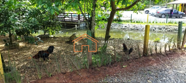 Imagem Imóvel com 2 Quartos à Venda, 27.000 m² em Rio Bonito (pirabeiraba) - Joinville Imagem Imóvel com 2 Quartos à Venda, 27.000 m² em Rio Bonito (pirabeiraba) - Joinville