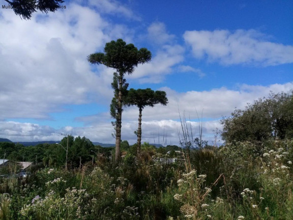 Imagem Terreno à Venda, 1.051 m² em Vila Germânia - Nova Petrópolis Imagem Terreno à Venda, 1.051 m² em Vila Germânia - Nova Petrópolis