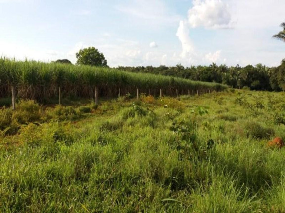 Imagem Fazenda à Venda, 3.700.000 m² em Zona Rural - Acorizal