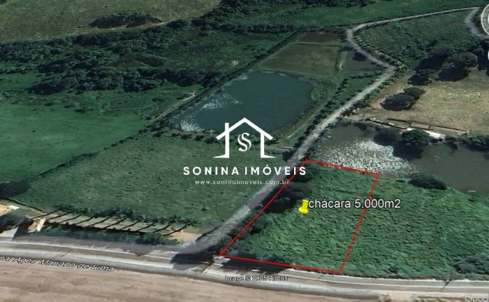 Imagem Chácara à Venda, 5.000 m² em Ponte Alta - Vargem Imagem Chácara à Venda, 5.000 m² em Ponte Alta - Vargem