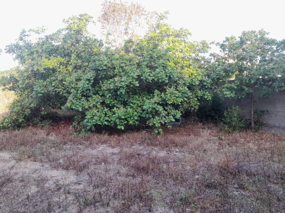 Imagem Terreno à Venda,  em Centro - Tibau Do Sul