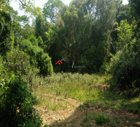 Imagem Imóvel à Venda, 60.000 m² em Depois Do Centro - Ibiúna Imagem Imóvel à Venda, 60.000 m² em Depois Do Centro - Ibiúna