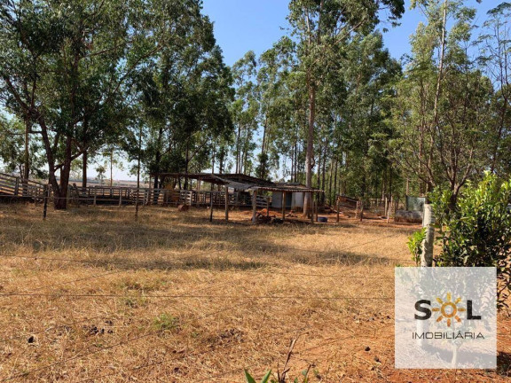 Imagem Chácara com 2 Quartos à Venda, 294.000 m² em Zona Rural - Bela Vista De Goiás Imagem Chácara com 2 Quartos à Venda, 294.000 m² em Zona Rural - Bela Vista De Goiás