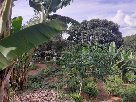 Imagem Imóvel com 4 Quartos à Venda, 3.500 m² em Parque Jaguari (fazendinha) - Santana De Parnaíba