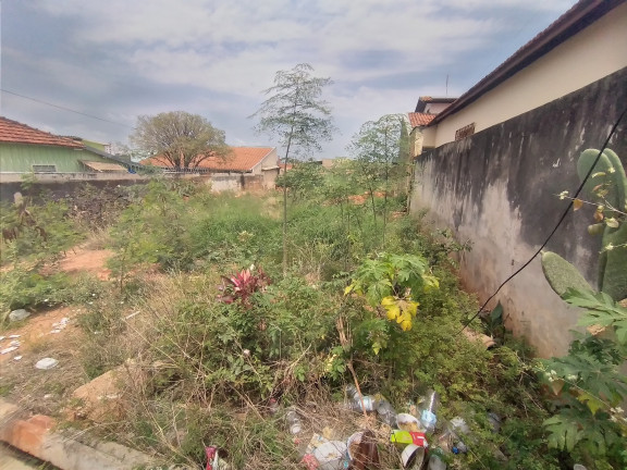 Imagem Terreno à Venda, 360 m² em Parque Vista Alegre - Bauru