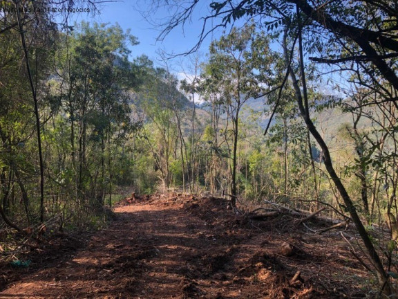 Imagem Terreno à Venda, 3 m² em Rua São José Do Cai - Nova Petrópolis Imagem Terreno à Venda, 3 m² em Rua São José Do Cai - Nova Petrópolis