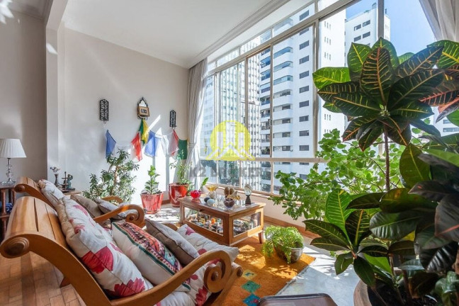 Imagem Apartamento com 3 Quartos à Venda, 220 m² em Higienópolis - São Paulo Imagem Apartamento com 3 Quartos à Venda, 220 m² em Higienópolis - São Paulo
