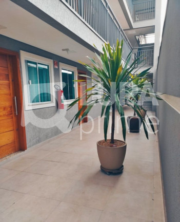 Imagem Apartamento com 2 Quartos à Venda, 38 m² em Vila Nova Mazzei - São Paulo