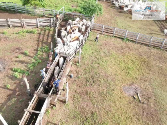 Imagem Fazenda à Venda, 58.000 m² em Cáceres Imagem Fazenda à Venda, 58.000 m² em Cáceres