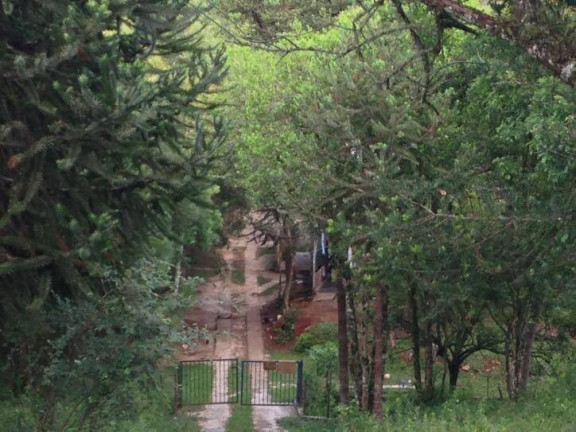 Imagem Terreno à Venda, 80 m² em Santa Felicidade - Curitiba Imagem Terreno à Venda, 80 m² em Santa Felicidade - Curitiba