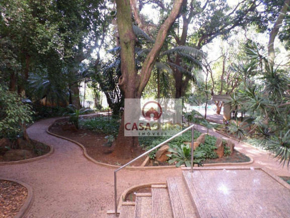 Imagem Apartamento com 4 Quartos à Venda, 410 m² em Serra - Belo Horizonte Imagem Apartamento com 4 Quartos à Venda, 410 m² em Serra - Belo Horizonte