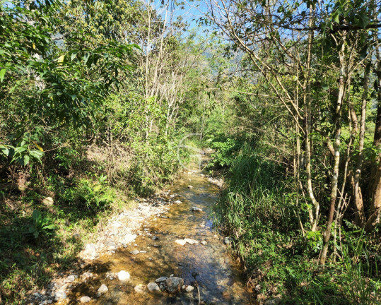 Imagem Terreno à Venda, 150.000 m² em Pirabeiraba (pirabeiraba) - Joinville Imagem Terreno à Venda, 150.000 m² em Pirabeiraba (pirabeiraba) - Joinville
