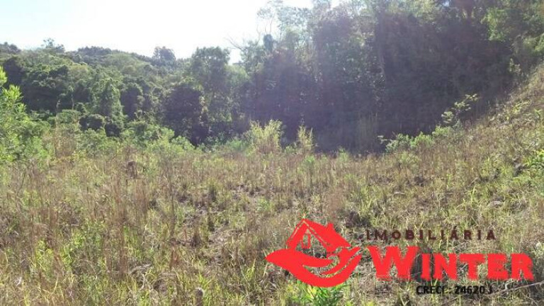 Imagem Terreno à Venda, 1.200 m² em Picão - Feliz Imagem Terreno à Venda, 1.200 m² em Picão - Feliz