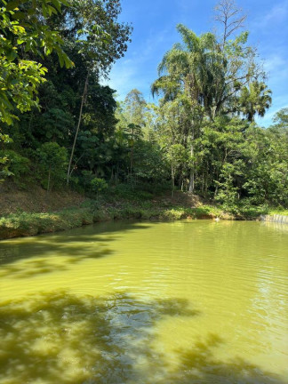 Imagem Chácara com 5 Quartos à Venda, 300 m² em Pedra De amolar - Corupá Imagem Chácara com 5 Quartos à Venda, 300 m² em Pedra De amolar - Corupá