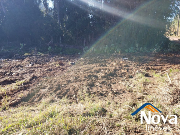 Imagem Imóvel à Venda, 672 m² em Pinhal Alto - Nova Petrópolis