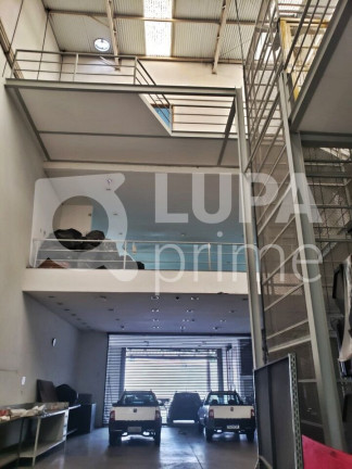 Imagem Imóvel Comercial à Venda, 800 m² em Vila Maria Baixa - São Paulo Imagem Imóvel Comercial à Venda, 800 m² em Vila Maria Baixa - São Paulo