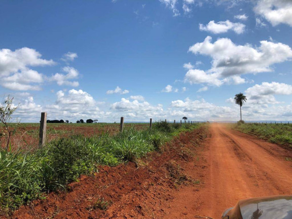 Imagem Fazenda à Venda, 15.000 m² em Mato Grosso Imagem Fazenda à Venda, 15.000 m² em Mato Grosso