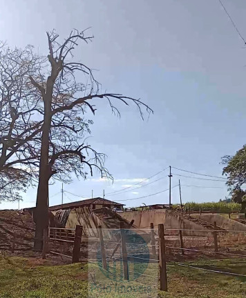 Imagem Imóvel com 8 Quartos à Venda, 773 m² em Serra Azul - Serra Azul Imagem Imóvel com 8 Quartos à Venda, 773 m² em Serra Azul - Serra Azul