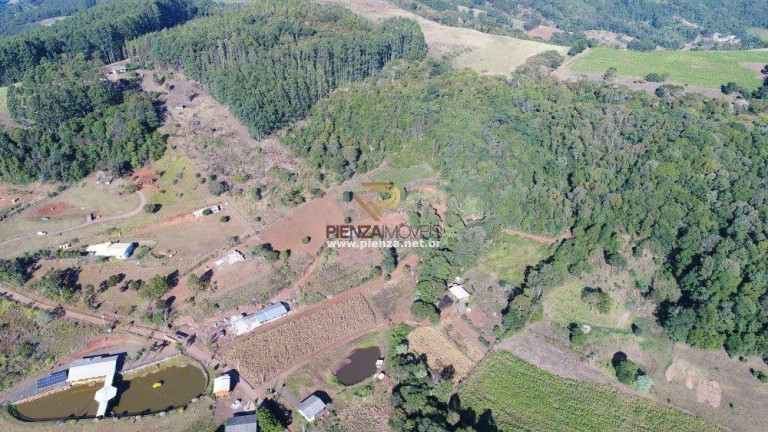 Imagem Terreno à Venda, 10.000 m² em Interior - Concórdia Imagem Terreno à Venda, 10.000 m² em Interior - Concórdia