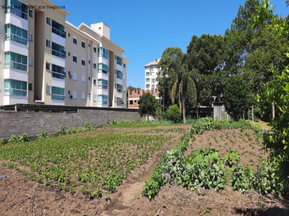 Terreno à Venda, 1.271 m² em Pousada Da Neve - Nova Petrópolis