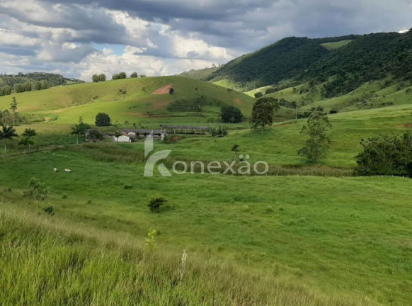 Imagem Fazenda à Venda, 400 m² em Jardim Prado - Santa Branca