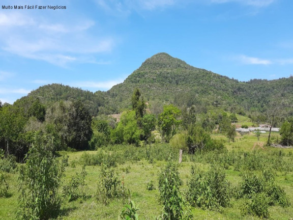 Imagem Terreno à Venda, 8 m² em Linha Temerária - Nova Petrópolis Imagem Terreno à Venda, 8 m² em Linha Temerária - Nova Petrópolis