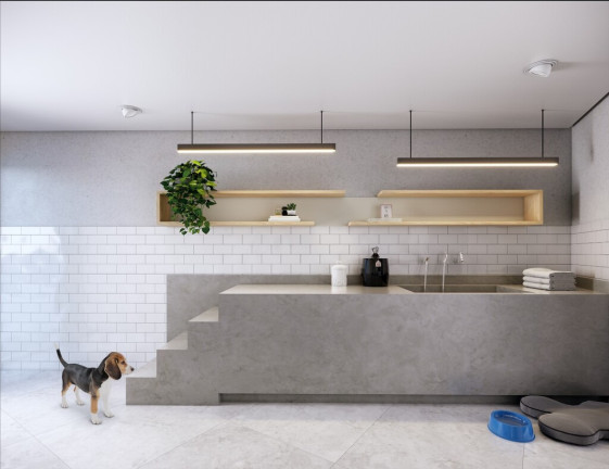 Imagem Imóvel com 3 Quartos à Venda, 92 m² em Vila Mascote - São Paulo Imagem Imóvel com 3 Quartos à Venda, 92 m² em Vila Mascote - São Paulo