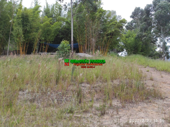 Imagem Chácara à Venda, 15.000 m² em Sob. Consulta - Paraibuna Imagem Chácara à Venda, 15.000 m² em Sob. Consulta - Paraibuna