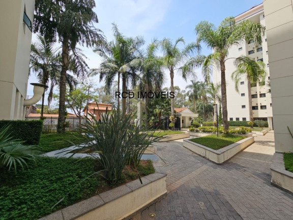 Imagem Apartamento com 3 Quartos à Venda, 75 m² em Jardim Peri Peri - São Paulo