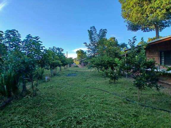 Imagem Chácara à Venda, 35 m² em Arapongas