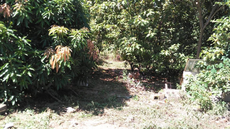 Terreno à Venda, 1.600 m² em Pau Queimado - Piracicaba