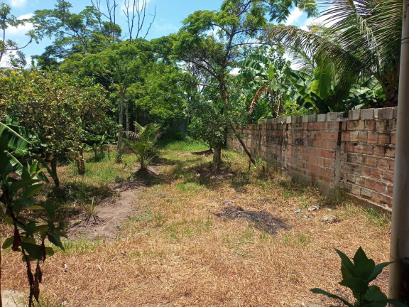 Chácara com 1 Quarto à Venda, 500 m² em Recreio Chácaras Das Palmeiras - Itanhaém