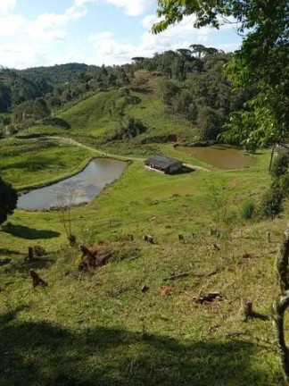 Imagem Imóvel à Venda, 30.250 m² em Matulao - Tijucas Do Sul