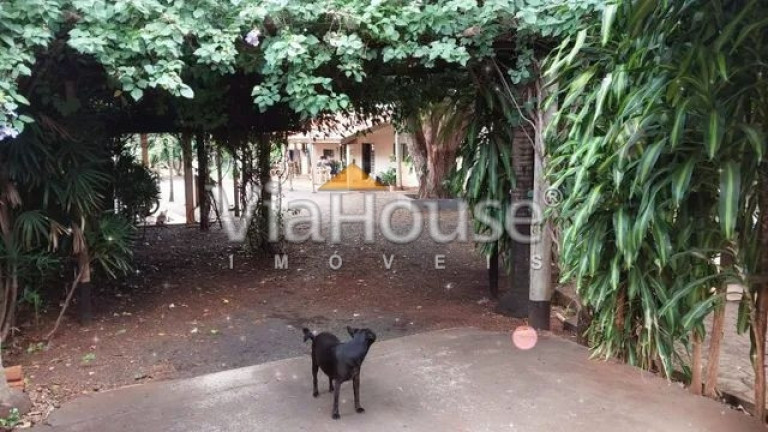 Imagem Chácara com 3 Quartos à Venda, 2.000 m² em Recreio Das Acácias - Ribeirão Preto