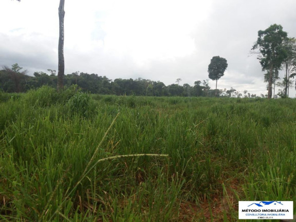 Imagem Fazenda à Venda, 1.050 m² em Rural - Juína Imagem Fazenda à Venda, 1.050 m² em Rural - Juína
