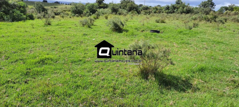 Imóvel à Venda, 420.000 m² em Centro - Pedras Altas