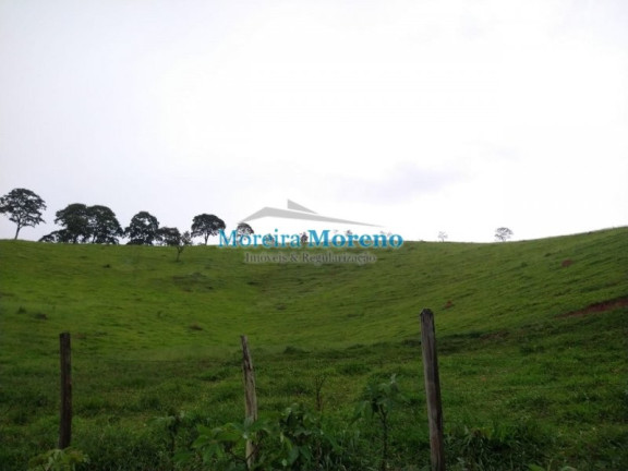 Imagem Imóvel com 1 Quarto à Venda, 11 m² em Zona Rural - Borda Da Mata
