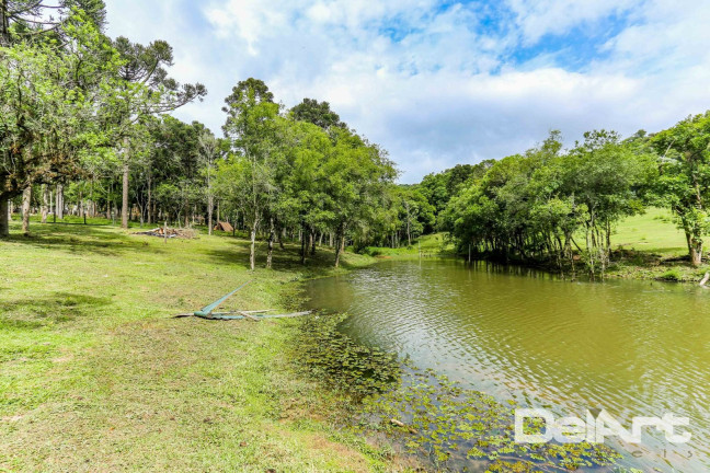 Imagem Casa com 3 Quartos à Venda, 365 m² em Passa Tres - Rio Negro Imagem Casa com 3 Quartos à Venda, 365 m² em Passa Tres - Rio Negro