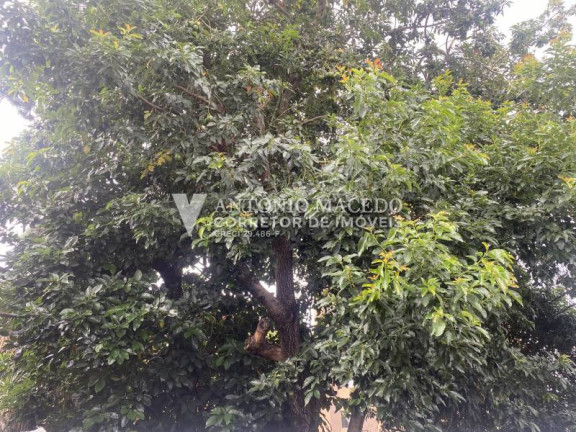 Imagem Casa com 3 Quartos à Venda, 125 m² em Bosque Da Saúde - São Paulo Imagem Casa com 3 Quartos à Venda, 125 m² em Bosque Da Saúde - São Paulo