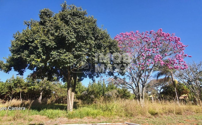 Imagem Terreno à Venda, 2.500 m² em Park Way - Brasília Imagem Terreno à Venda, 2.500 m² em Park Way - Brasília