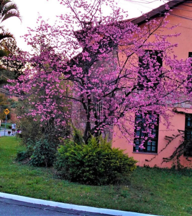 Imagem Casa com 4 Quartos à Venda, 470 m² em Aldeia Da Serra - Santana De Parnaíba Imagem Casa com 4 Quartos à Venda, 470 m² em Aldeia Da Serra - Santana De Parnaíba