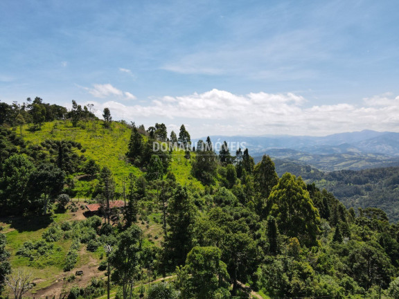 Imagem Imóvel com 2 Quartos à Venda, 1.360 m² em Região Do Toriba - Campos Do Jordão Imagem Imóvel com 2 Quartos à Venda, 1.360 m² em Região Do Toriba - Campos Do Jordão