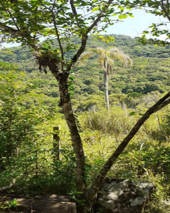 Imagem Imóvel com 1 Quarto à Venda,  em Vila Rica - Presidente Lucena